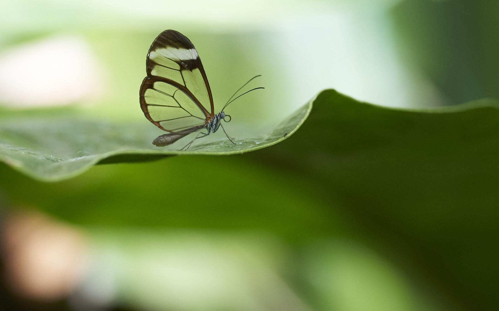 Costa Rica 2016