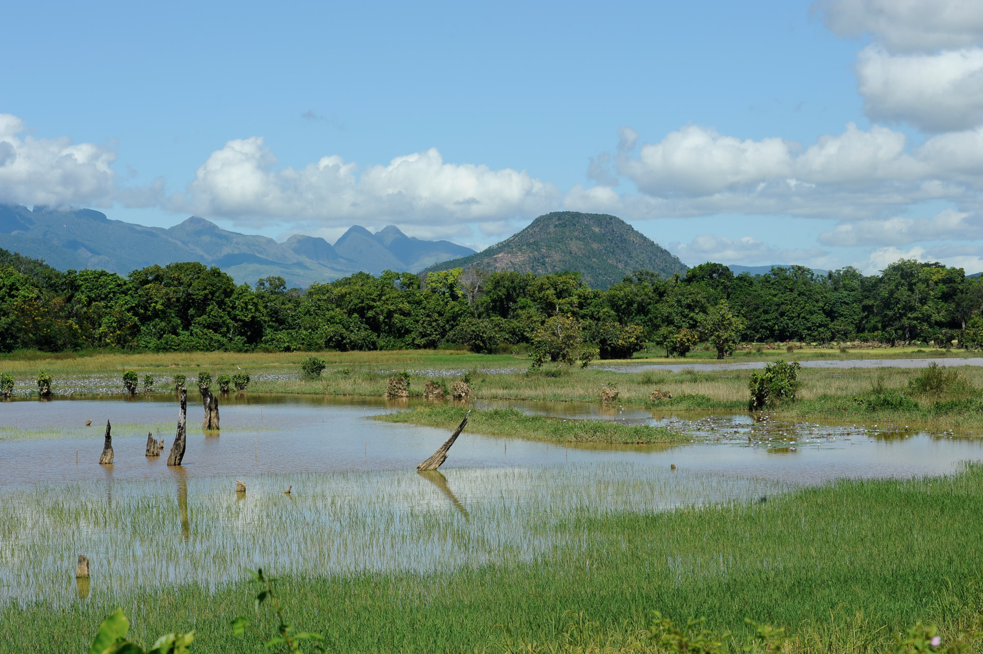 nel nord del madagascar