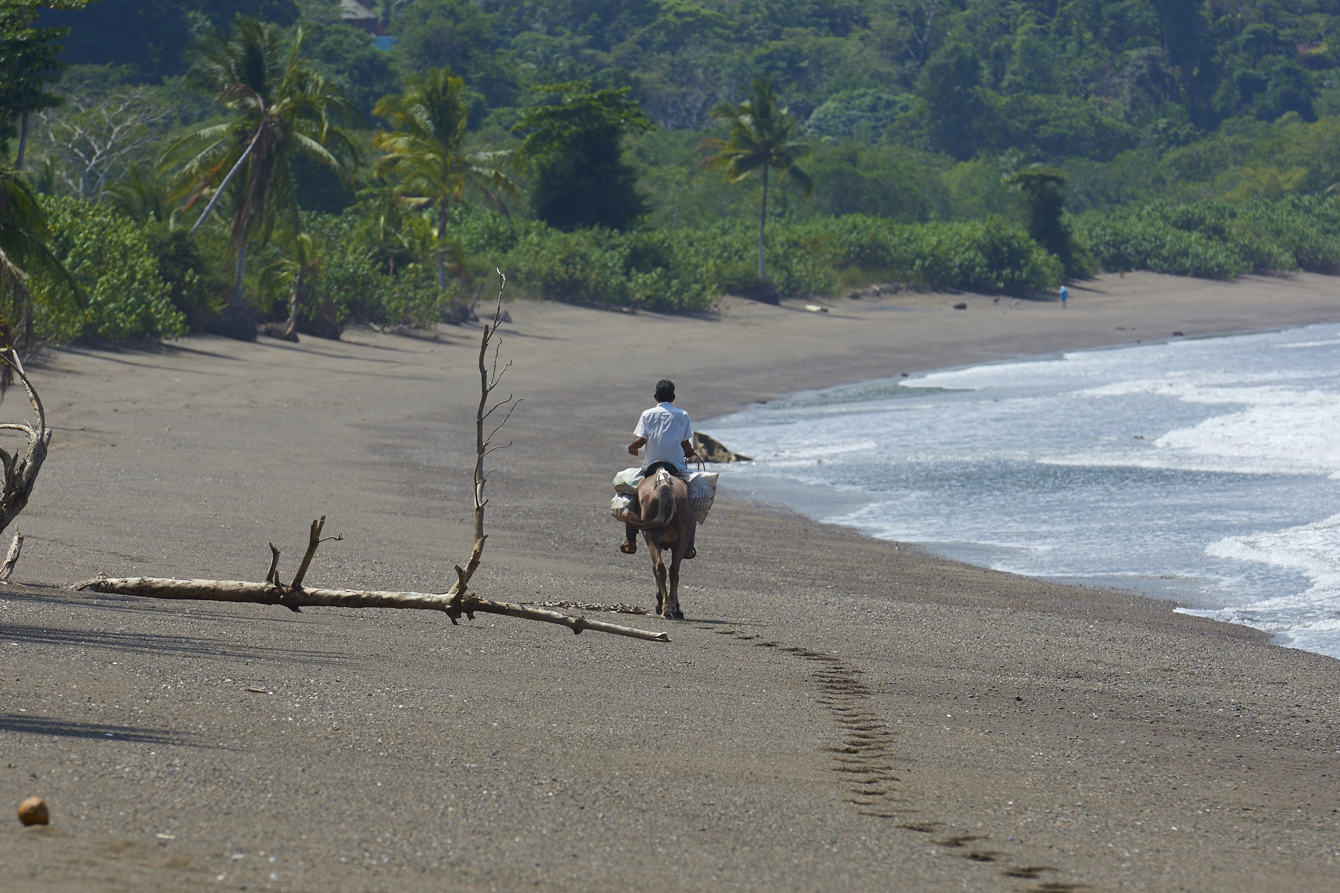 corcovado drake bay 