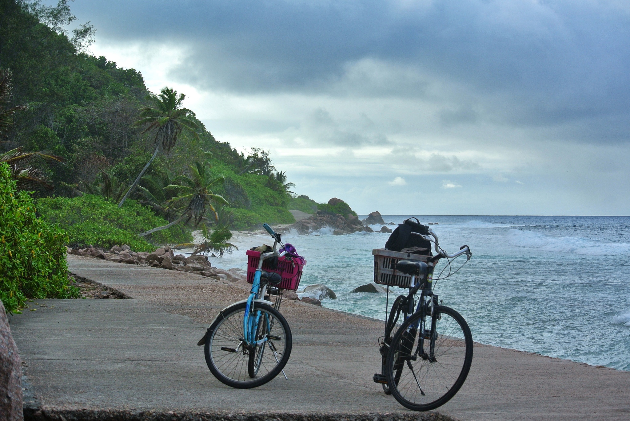ladigueinbici