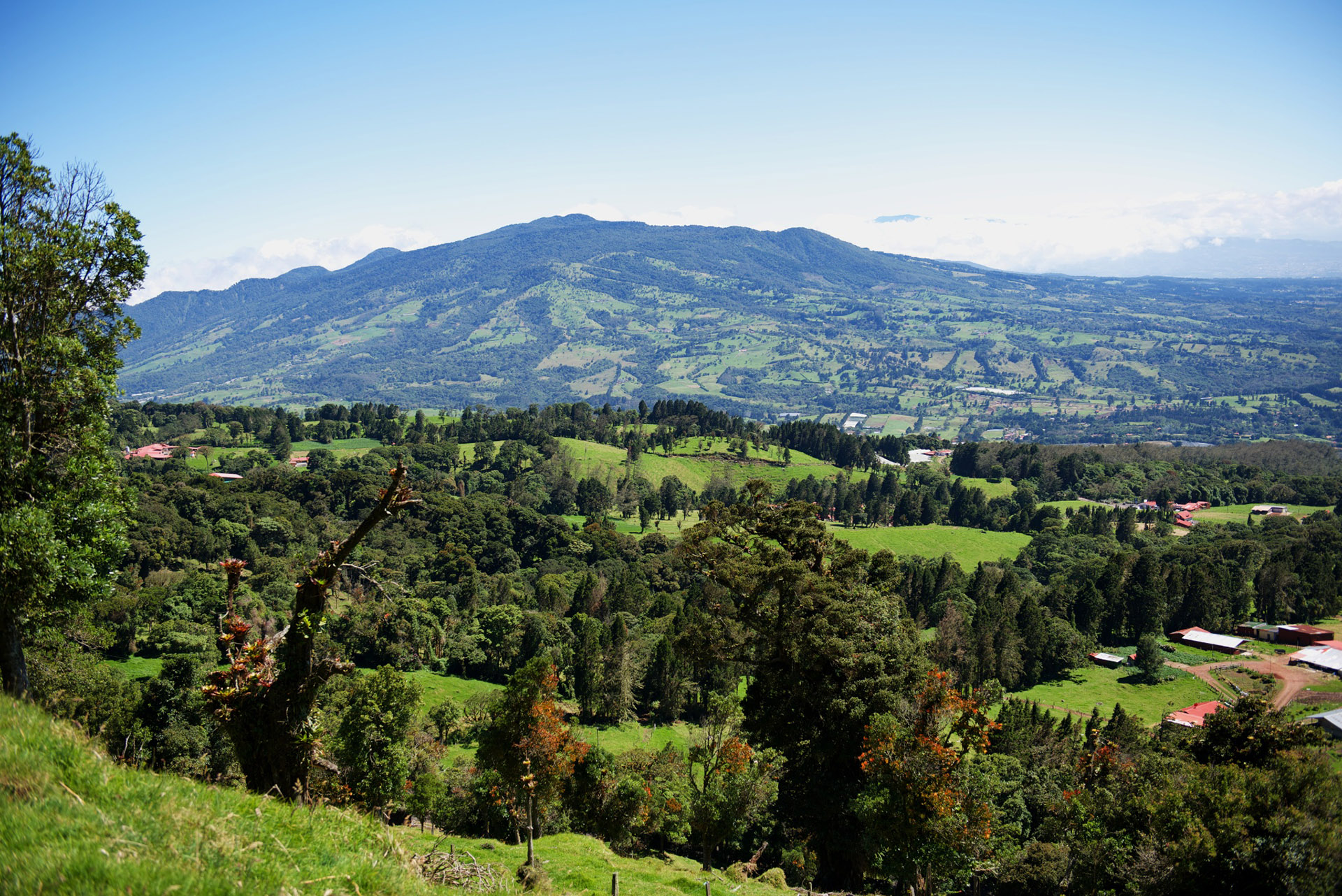 piana san jose