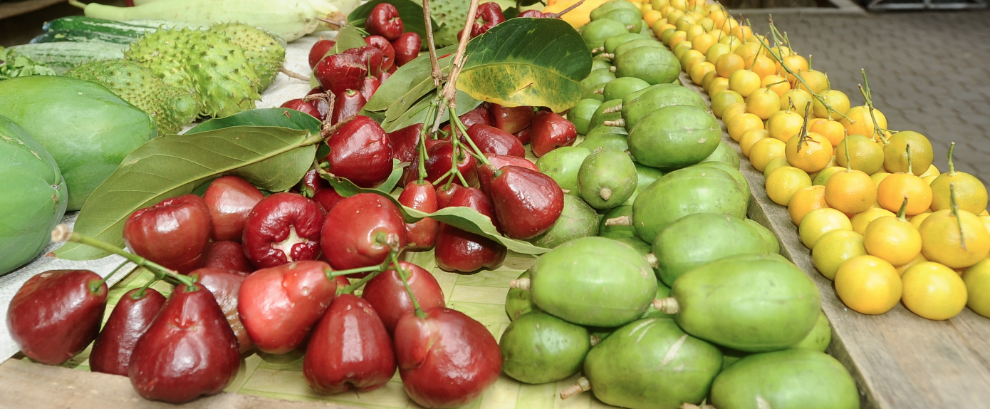 sapori seychelles