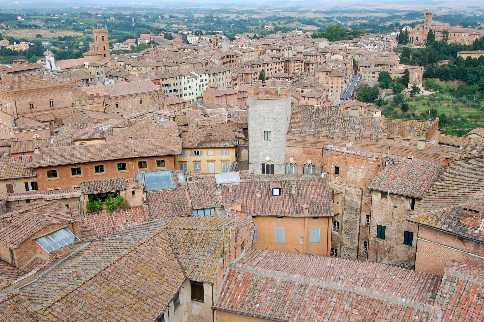 siena