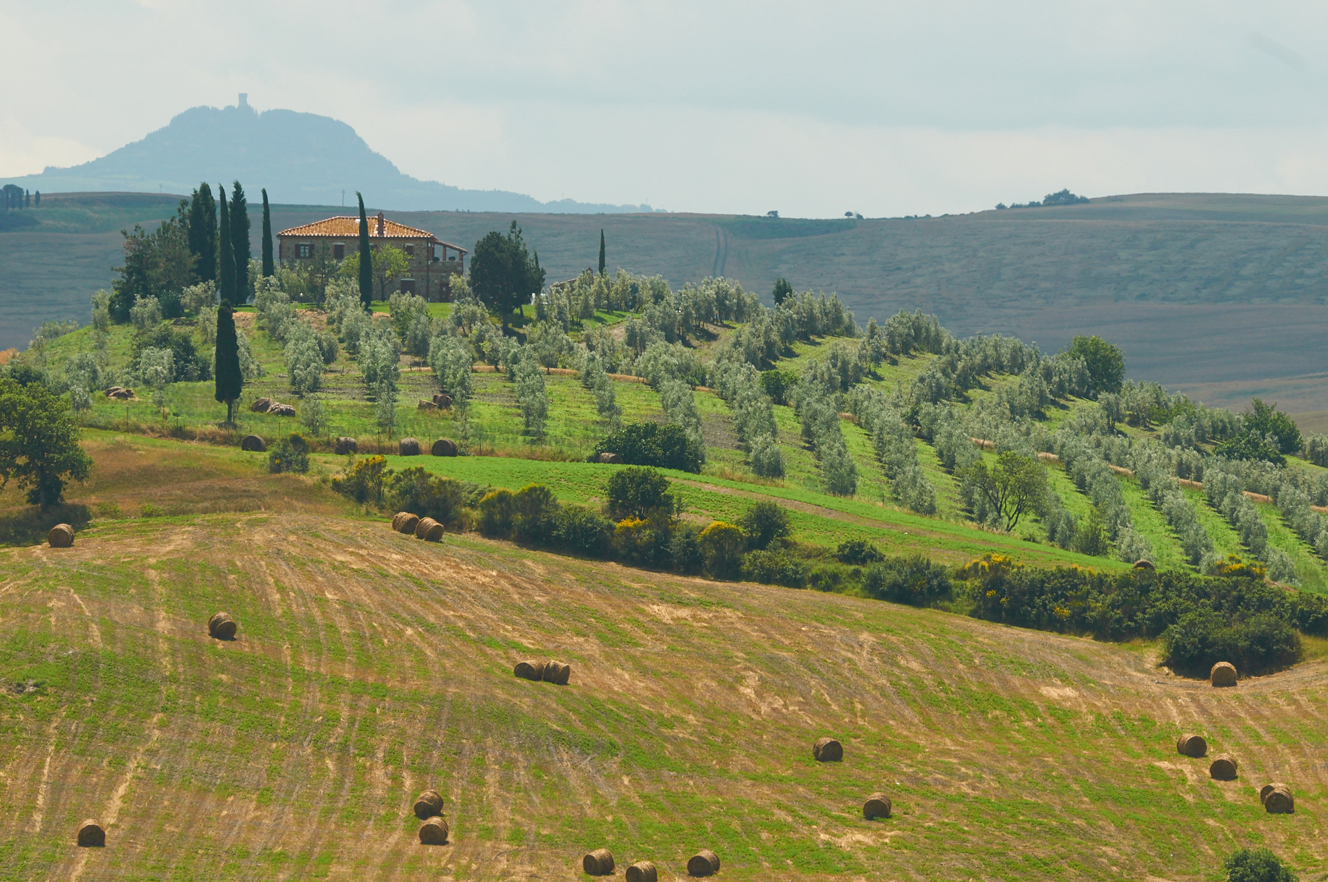 Montalcino