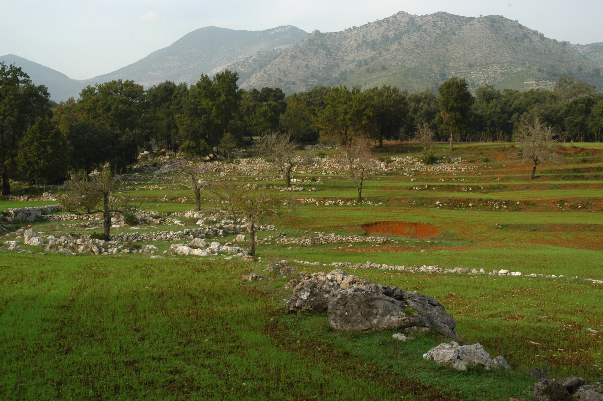fenomeni carsici