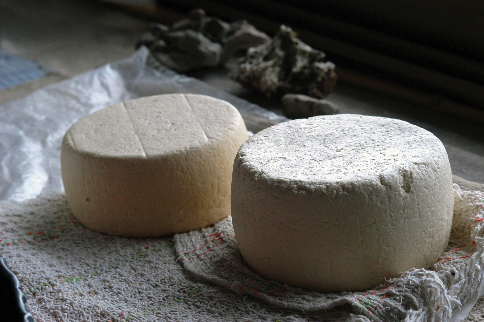 formaggi