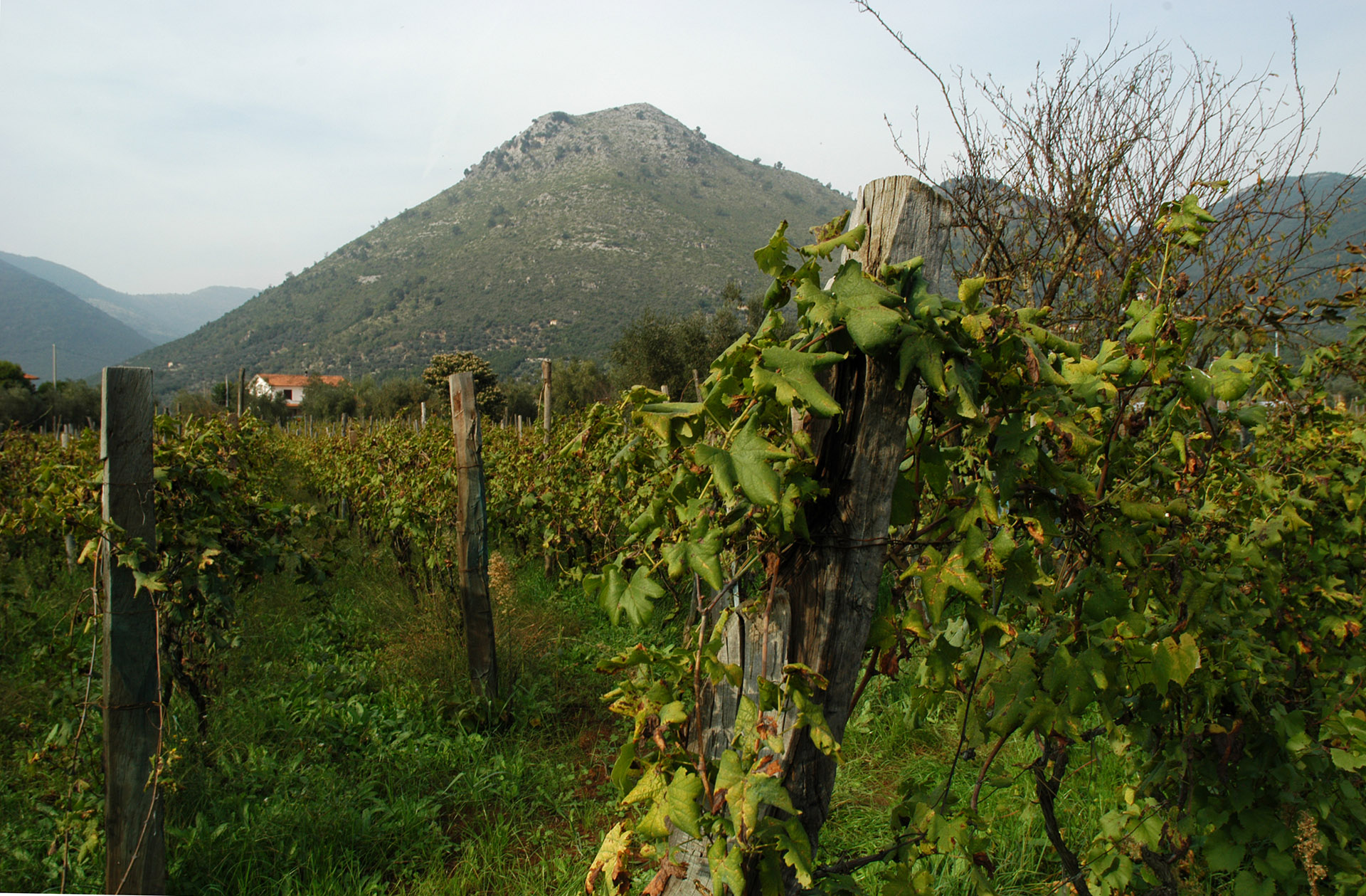 monte san biagio