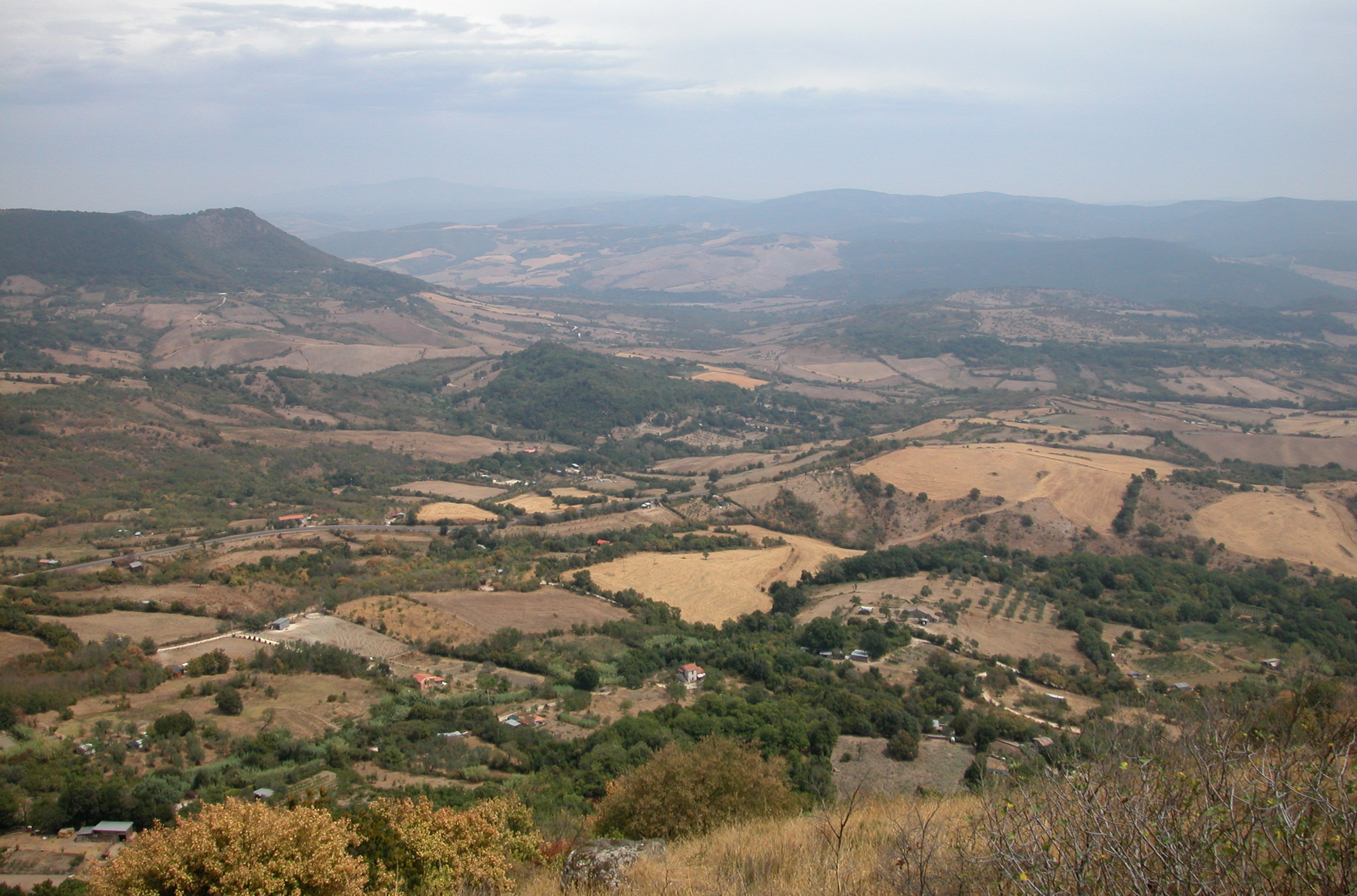 montitolfa