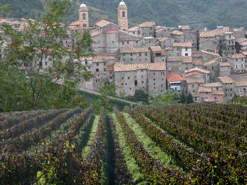 olevano e vigne