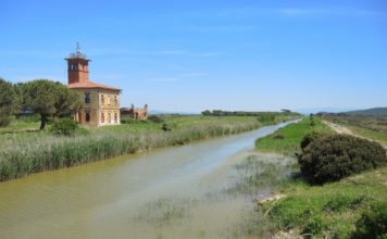 Gli Itinerari nel Parco dell’Uccellina