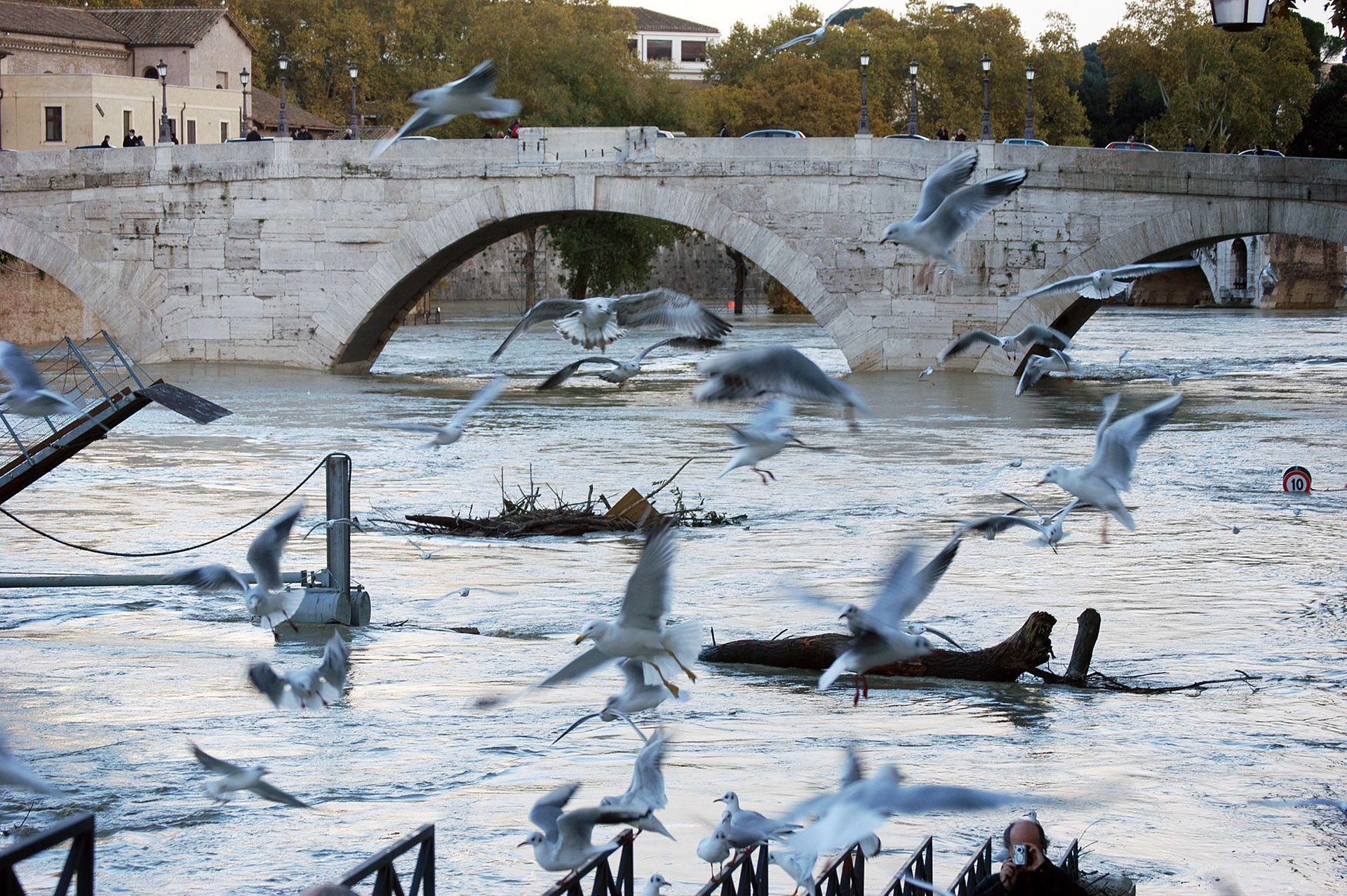 piena tevere