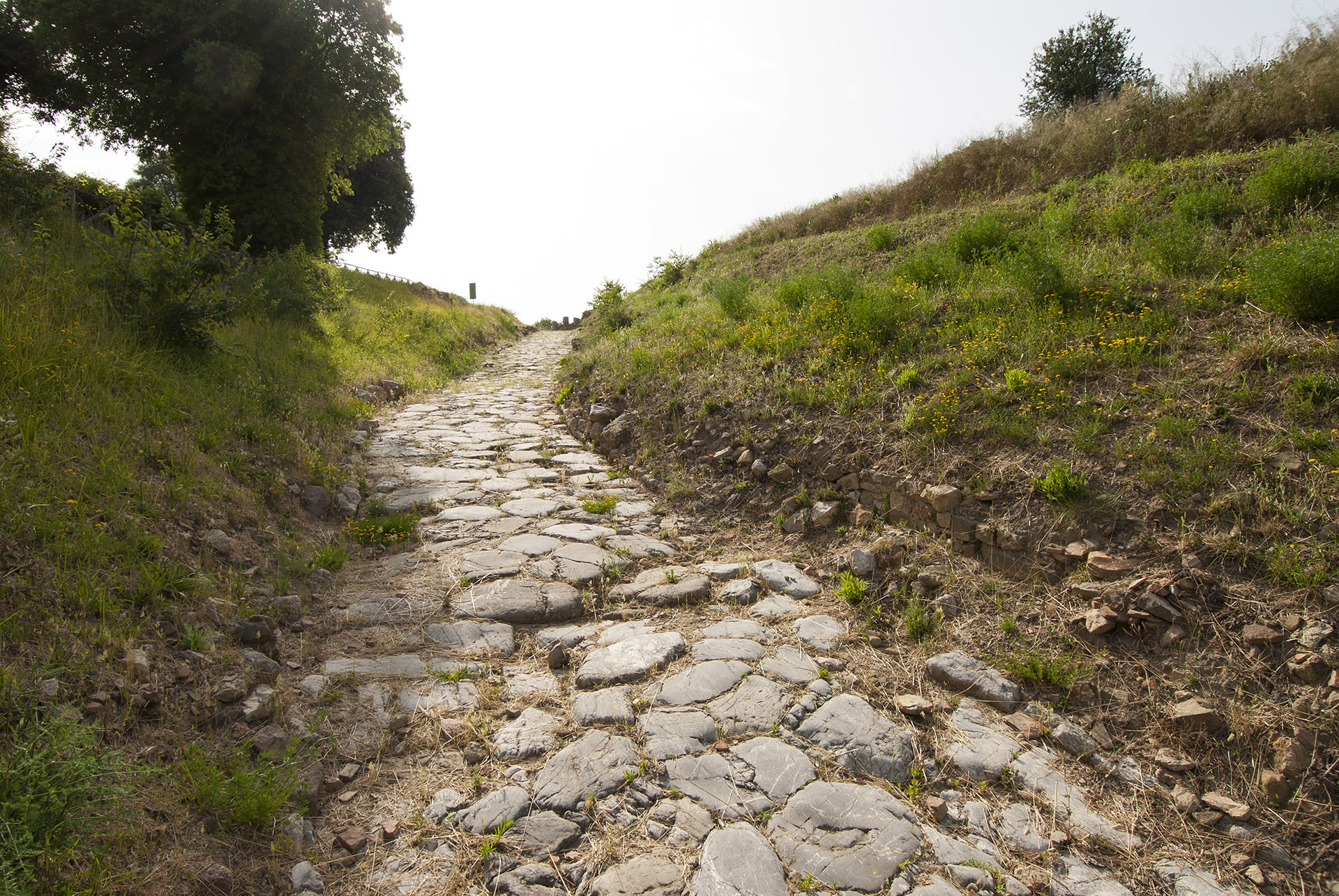 strada romana