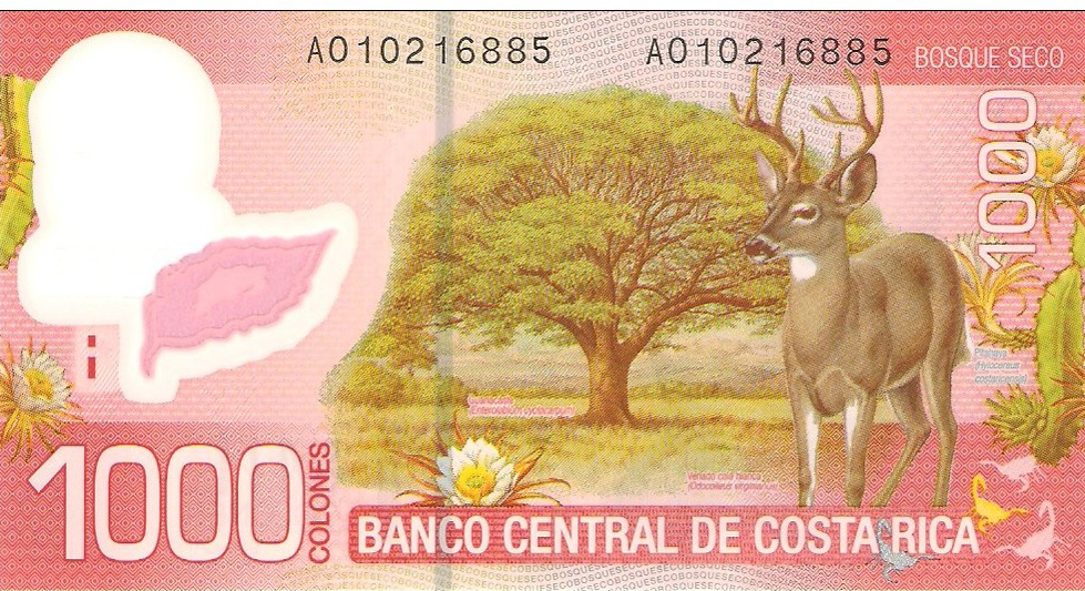 1000 colones del Costa Rica