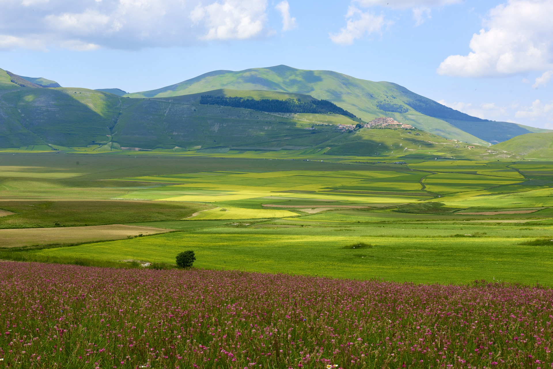 Castelluccio Pian Grande