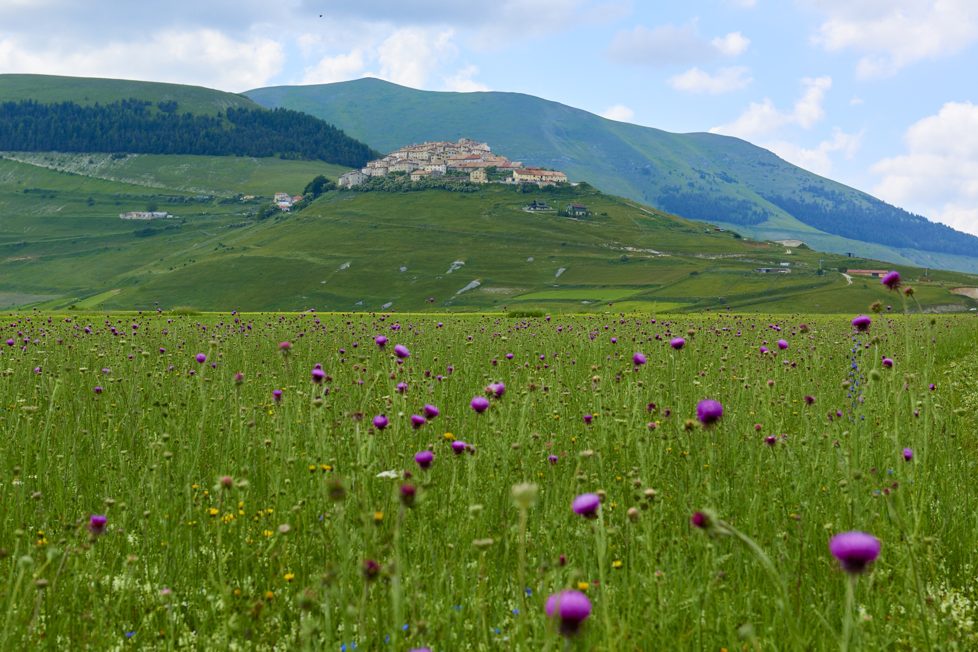 Castelluccio di Norcia