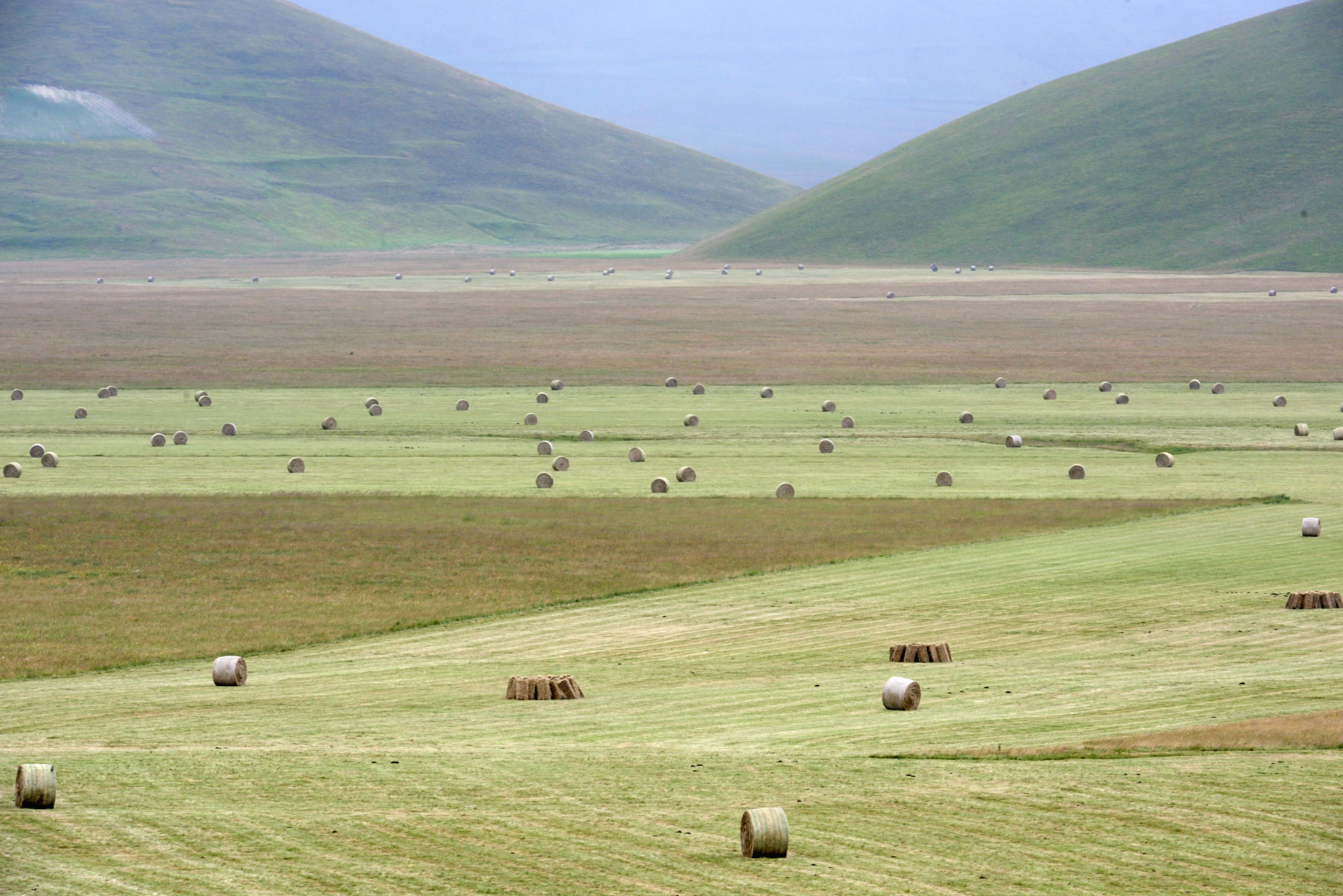 Castelluccio Fioritura 2016
