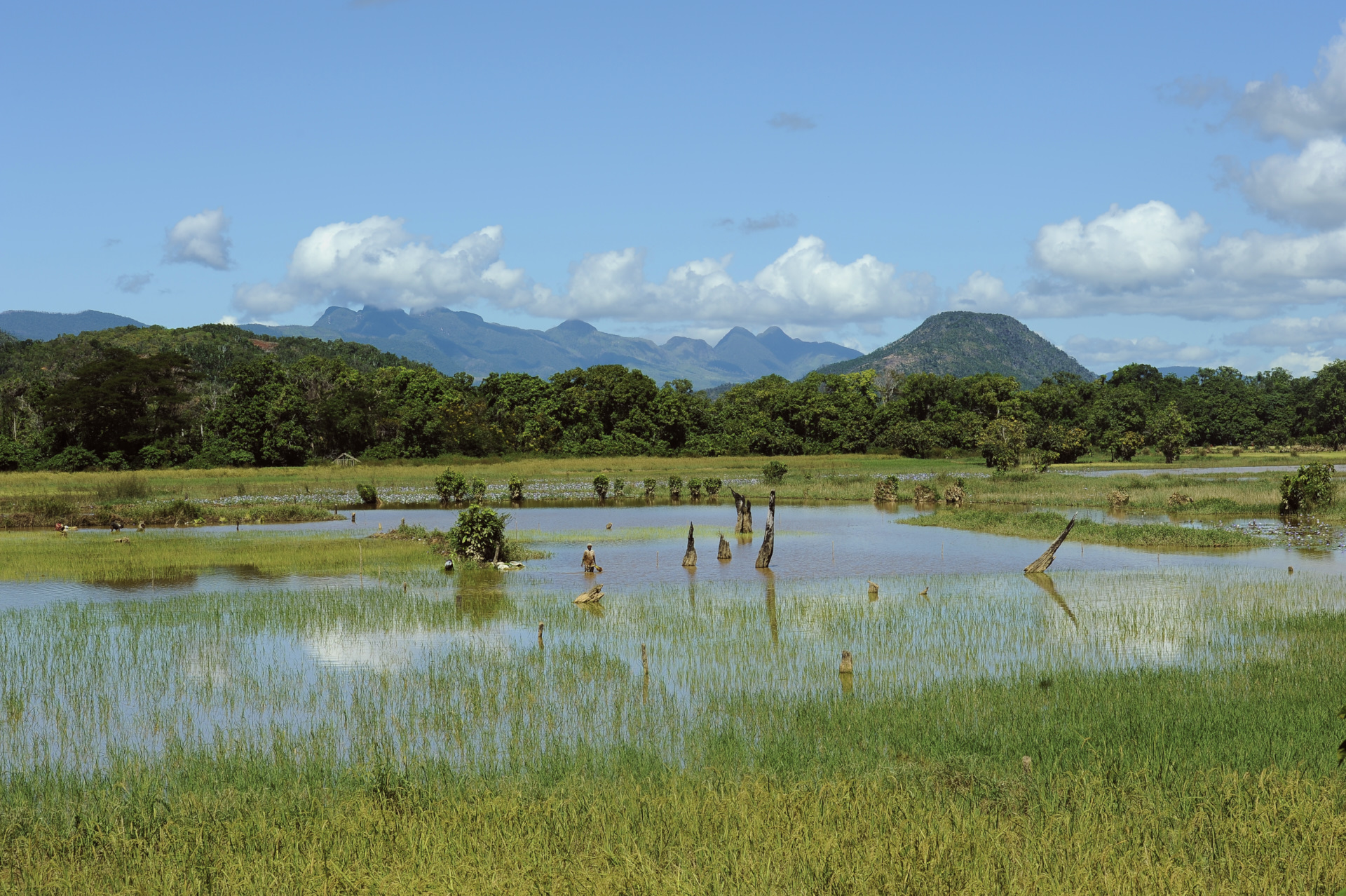 paesaggi del Madagascar