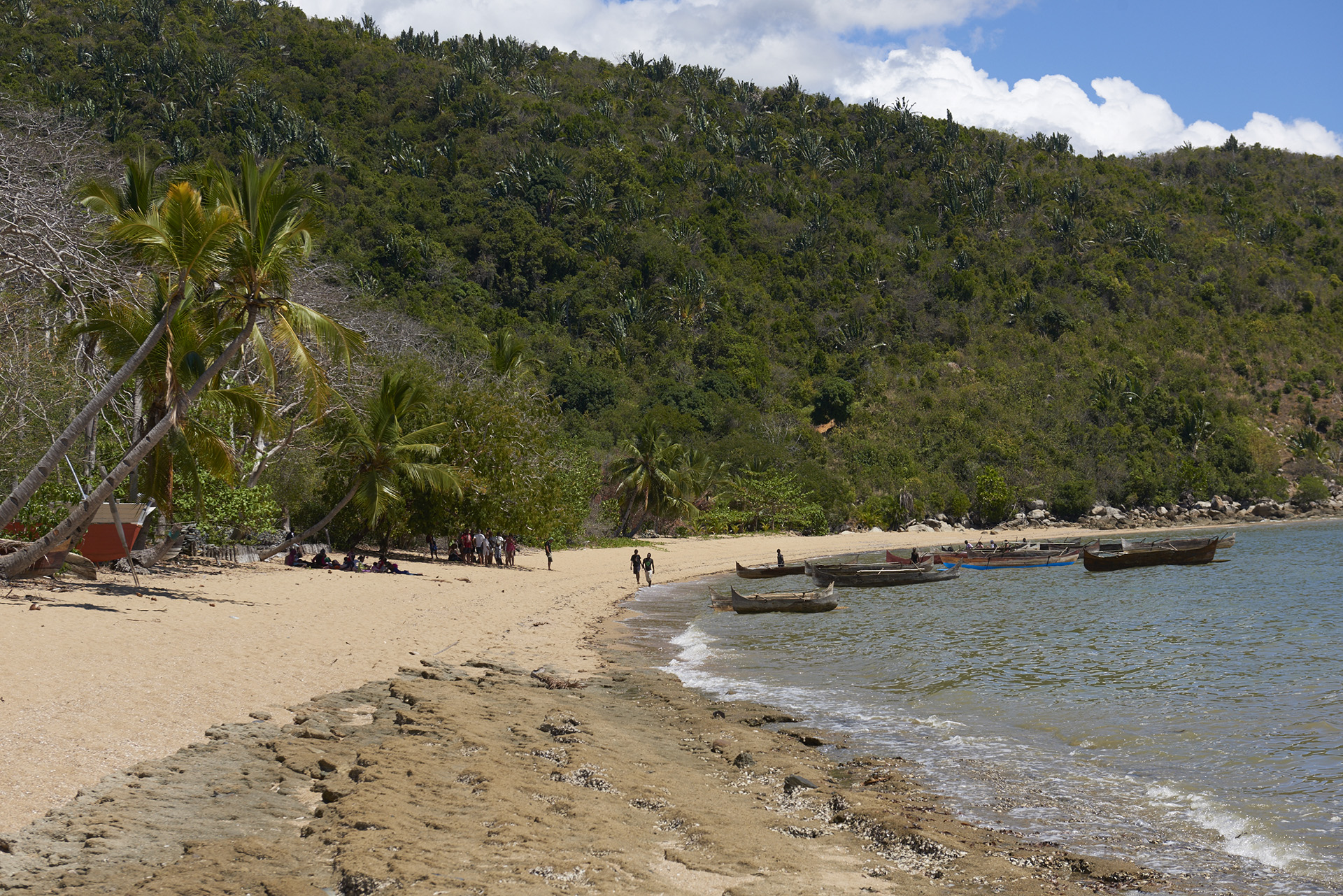ampasipoby