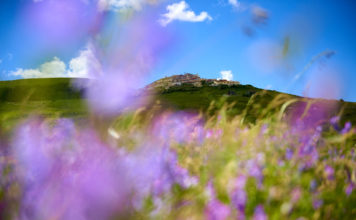 Castelluccio…nessun fiore sa piangere