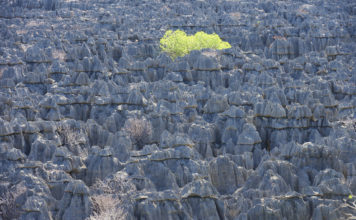 Parco dell’Ankarana